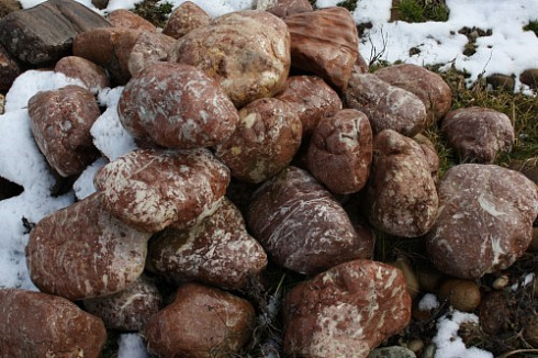 Kamenclub.ru: Розовый валунчик фр.100-300 мм.  купить в Оренбурге крупный природный камень розовый, серый молочный красный речной галечник природный 7850 руб/т   фото КАМЕНЬ КЛУБ